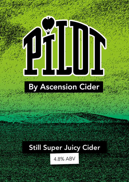 Pilot 4.8% // 20L BIB