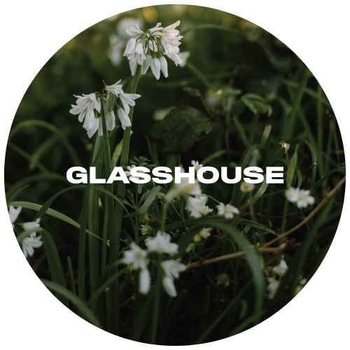 Been Listening 4.6% // 30L Key Keg